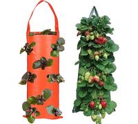 2 pièces de jardinière de fraises retournée - 8 trous de plantation pour suspendre des jardinières de fraises pour suspendre des jardinières d'aération pour tomates-poivrons-légumes