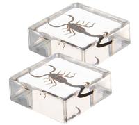 2 Pièces Décoration D'insectes en Résine Presse-papier Carré