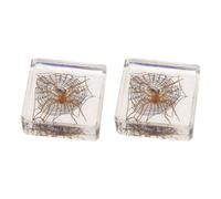 2 Pièces Échantillon D’araignée-loup en Acrylique Transparent | Usage en Laboratoire et Cours de Sciences Naturelles, Pièce Pédagogique, Étude Répétée, pour Étudiants