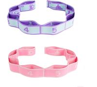 2 Pieces Elastic Bodybuilding,Elastic Sport 8 Levels Of Strength Band,Bodybuilding Exercise Strap For Pilates Yoga Ballet Dance,Stretching Exercises Fascias