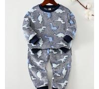2 pièces Ensemble de sweat-shirt à col rond en polaire douce avec motif de dinosaure de dessin animé et pantalon d'automne pour jeune garçon, hiver, assortiment familial, ensembles confortables pour j