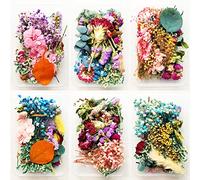 2 Pièces Fleurs Séchées Naturelles, Feuilles Fleurs Séchées, Feuilles Fleurs Naturelles Séchées, Convient pour la Fabrication Sacs, D'ornements(Deux Pièces Aléatoires)