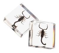 2 Pièces Halloween Décoration en Résine pour Table Insecte