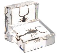 2 Pièces Halloween Ornement D'insectes en Résine