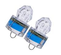 2 Pièces Lampe de Pêche Nocturne sous-Marine LED Diamant | Plastique Bleu, Étanche et Anti-pression, Attire Appâts et Poissons, pour Amis Passionnés de Pêche Couleur Aléatoire
