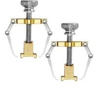2 Pièces Lifter d'Ongle Incarné Outil Ongle Incarné Pince d'Orteil en Acier Inoxydable Outil de Soins des Pieds pour Paronychia (Or)