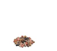 2 pièces Nobby STARSNACK "Party Mix" boîte 2 x 500 g