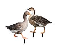 2 Pièces Piquets de Jardin Décorations Extérieures Yards Art Ornements de Jardin Réalistes Accessoires Résistants Durables pour Aménager Votre Cour