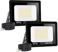 2 Pièces Projecteur LED Extérieur 100W, 10000LM 6000K Blanc Froid Spot Led, IP66 Étanche Eclairage Exterieur, 144 LEDs, Installation Flexible, Lampe pour Jardin Terrasse et Sécurité, Sans Prise