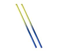 2 pièces règle colorée règles acryliques ensemble de règle de mesure claire et droite avec des centimètres en pouces pour les bureaux à domicile en helle métrique et en pouces