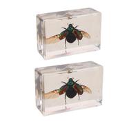 2 Pièces Spécimen D’insecte Réel Scarabée en Acrylique Transparent | Support Éducatif pour Étude Scientifique, Observation Détaillée Répétée, Présent pour Enseignant, Adapté à Tous Âges