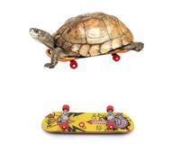 2 pièces Tortues Skateboard Intelligent Jouet Planche à roulettes Tortue Mini Skateboard pour Petits Animaux Reptiles 9,5x2,6x1,2 cm