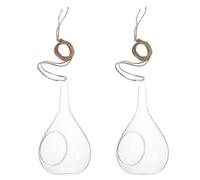 2 Pièces Vase Hydroponique en Verre Micro Pot Conique Décoratif | Suspendre Murale pour Plante, Chambre et Bureau, Format Compact, Finition Verre, Usage Décoratif
