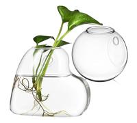 2 Pièces Vase Mural en Verre Borosilicaté pour Plantes | Support de Terrarium Mural, Surveillance des Racines, Matériel de Fixation, pour Jardinage Intérieur