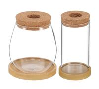 2 Pièces Vases Hydroponiques en Verre Tube Style avec Bouchon et | Borosilicate Transparent, Base Stable, pour Mini Jardins et Compositions