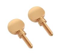 2 Pièces Vis Manche Saxophone, Vis Manche Saxophone Doré Lourd Fixation Serrage Laiton Tendeur Vis Saxophone pour Soprano Alto Ténor, Accessoire d'Instrument de Remplacement Pièces Manche