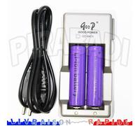 2 PILES ACCUS RECHARGEABLE 18650 3.7V 4900mAh + CHARGEUR CHARGE RAPIDE GD-847A Réf:23