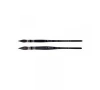 2 Pinceaux Lavis Softaqua Raphaël N°0 N°2 Petit-Gris Série 805