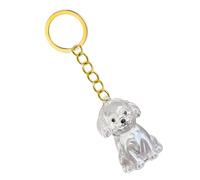 2 Porte-clés commémoratif léger pour animaux de compagnie Étui transparent compact pour le stockage des poils de chien et des cendres de crémation en déplacement Porte-clés commémoratif transparent