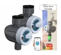 2 programmateurs d'arrosage connectés BWC-520.bt avec commandes vocales Royal Gardineer