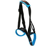 2 Roues RéGlable Chien Animal de Compagnie Fauteuil Roulant Animal de Compagnie Jambe ArrièRe Exercice Voiture Handicapé Chien Assisté Marche Voiture pour Chiots