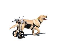 2 Roues Réglable Chien Chat Animal De Compagnie Âgé Fauteuil Roulant Chien Membre Postérieur Chariot Animal Handicapé Réhabilitation Panier pour Grands, Moyens Et Petits Chiens(Size:XXXL(Within 50kg))