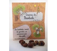 2 sachets de 8 graines de baobab africain - Le Petit Prince