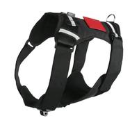2. Sangle de caméra sécurisée pour chiens actifs de 8 à 35 kg - Harnais réfléchissant réglable - Support pour caméra de sport