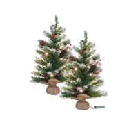2 sapins de Noël avec guirlande - 30 LED - 60 cm