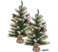 2 sapins de Noël avec guirlande - 30 LED - 60 cm