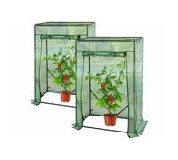 : 2 serres pour tomates - coloris vert