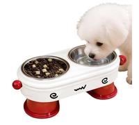 2 Set Elevated Cat Food Water Bowls, Elevated Cat Bowls with Food Mat, Stainless Steel Bowl's for Indoor Pet with Cute Metal Stand, 2-in-1 Anti-Slip Tilted Feeder Dish | Dog Bowl Stand for Puppy