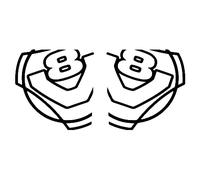 2 Stickers Autocollants décor de vitre Scania Camion Truck, peganitas, aufkleber, Scania Ref: sc094 (Blanc)