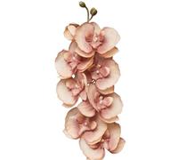 2 Stück Künstliche Gefühlsechte Orchidee,Kunstblumen Phalaenopsis-Blumen,68 cm, Künstliche Orchideenblumen Kunstpflanze,mit 8 Canntigen Blüten,für Zuhause Büro Hochzeit Décoration,Dunkelbraun