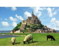 2 - Visite guidée d une journée à Paris : Châteaux du Mont-Saint-Michel & Loire