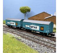 2 wagons couvert type Gs, 2 essieux, "APROZ", SBB, Ep. III - ARNOLD HN6683 - N 1
