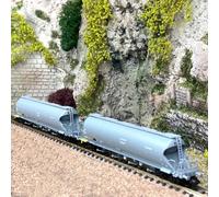 2 wagons silo à bogies DR, Ep IV - FLEISCHMANN 849006 - N 1/160