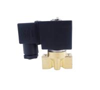 2 Way Pneumatic Brass Water Solenoid Valve Zero Pressure Start G1/4" 220V 110V Orifice 4mm/5mm/6mm NC NBR PU Valve(5mm,DC24V)