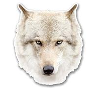 2 x 10 cm Blanc Husky Tête de Loup en vinyle autocollant pour ordinateur portable tablette voiture chien animal # 6368 - 8.5cm Wide x 10cm Tall