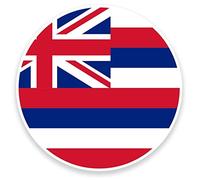 2 x 10cm/100 mm Hawaii USA Flag Auto-adhésif Autocollant Vinyle Autocollant pour portable Assurance voiture signer Fun #9135