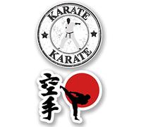 2 x karaté Vinyl Stickers ipad Laptop Car Martial Arts Japanese Gift Decal # 4822 10cm Wide. Comme sur la photo