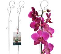 2 x Poteau de Support de Fleurs 39 cmSupport de Plantes en Pot en Lastique TransparentBaton Support Fleurs