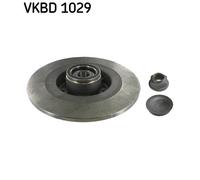 SKF VKBD 1029 Disque de frein