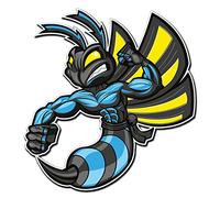 2 x Stickers muraux en vinyle brillant ? Hornet Wasp Casque de vélo Cool pour ordinateur portable iPad en # 4005 - 9.4cm Wide x 10cm Tall