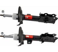 TRW JGM1091T Amortisseur Boîte, Set de 2