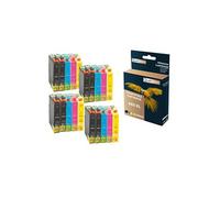 - 20 Cartouches compatible pour EPSON 603 XL 603XL Noir (x8) + Cyan (x4) + Magenta (x4) + Jaune (x4) (Etoile de mer) pour Epson Expression