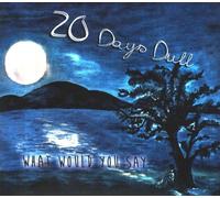 20 Days Dull - What would you Say