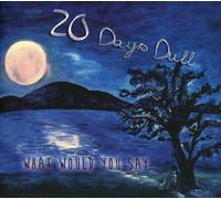 20 Days Dull - What Would You Say [Import]
