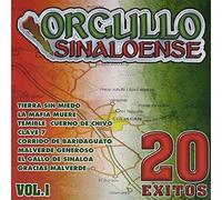20 Exitos 1