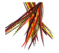 20 extensions de véritables plumes pour cheveux : courtes et fines, 18-23 cm avec des anneaux et une boucle (Sunburst)